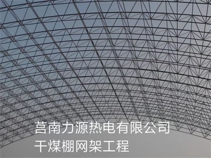 平顶山力源热电有限公司干煤棚网架工程